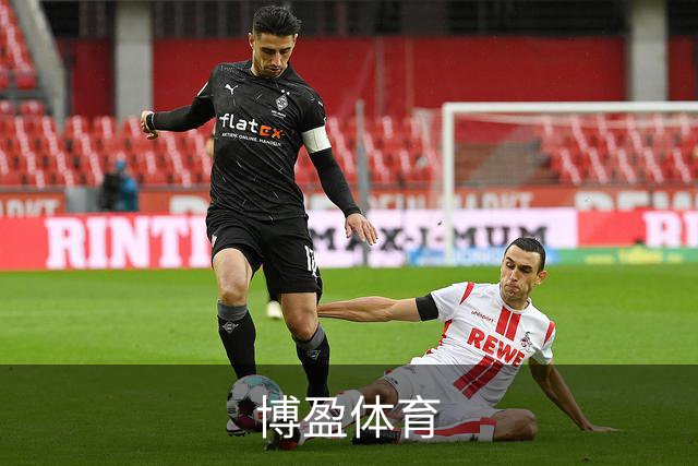 博盈体育公司介绍图